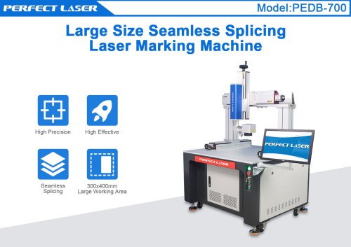 Perfect Laser fiber laser marking machine PEDB-700