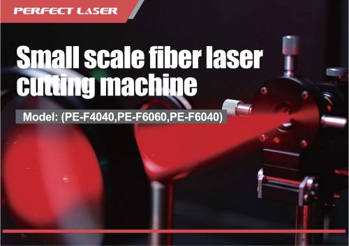 Perfect Laser-Small Scale Fiber Laser Cutting Machine PE-F4040  6060 6040