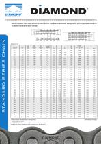 ASME / ANSI Standard Roller Chain