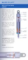 BLOC-O-LIFT Gas Spring