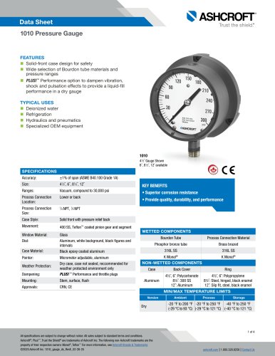 1010 Pressure Gauge