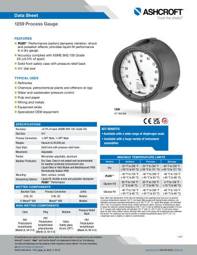 1259 Process Gauge