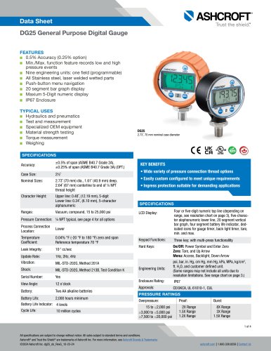 DG25 General Purpose Digital Gauge