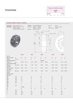Riduttori planetari, cremagliere e pignoni - 6