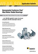 Oilfield Radial Bearings