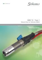 GMV 12 - Type 1 Natural Gas for vehicles (NGV)