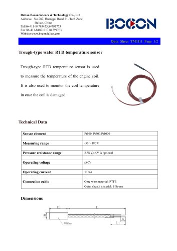 Pipeline RTD(Pt100) temperature sensor TM1111-2