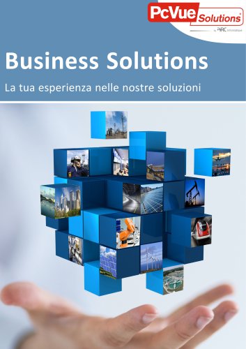 Business Solution