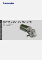 WORM GEAR DC MOTORS