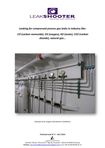 Detection of compressed process gaz leaks