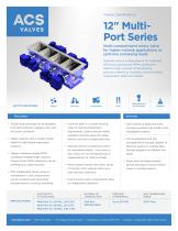 12" Multi-Port Series Valve