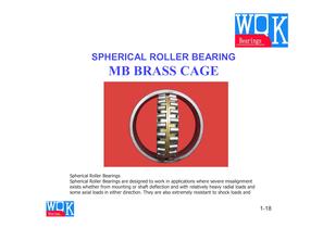 updated spherical roller bearing MB CAGE SERIES