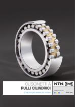 CUSCINETTI A RULLI CILINDRICI NTN-SNR - 1