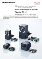 Motore DC brushless con azionamento a 24 VDC - Serie BLH - 1