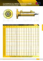 BOTTOM-BRIDLE D.R. CYLINDERS [8100]