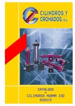 Hydraulic cylinder ISO 6020/2